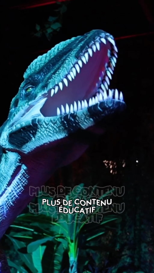 Toulouse, c’est officiel ! 🦖

Les billets pour Dinos Alive sont officiellement en vente 🎉 Préparez-vous à entrer dans un monde où des dinosaures grandeur nature rugissent et où vos petits explorateurs peuvent partir à la recherche de fossiles 🦕

Après avoir voyagé à travers le monde, Dinos Alive arrive à Toulouse dans une toute nouvelle version : repensée, re visitée et encore plus immersive.
✨ Plus d’immersion
🔬 Plus de contenu éducatif
🦕 Plus d’expériences interactives
☄️ Une aventure préhistorique plus spectaculaire que jamais

Prenez vos billets avant qu’ils ne s’épuisent... cette aventure est trop incroyable pour être manquée ! ⏳

👉 Lien dans la bio pour obtenir les vôtres aujourd’hui !