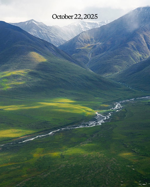In a single day, the Coastal Plain of the Arctic National Wildlife Refuge, one of the most biologically sensitive areas on Earth, was opened to oil and gas drilling.

This action is part of a sweeping attack that has removed environmental protections from nearly 90 million acres of public lands in less than two years.

This November, we have an opportunity to hold unchecked power to account. Join us, and let ’s build the biggest voter turnout we’ve ever seen.

Link in bio. 

Photo: Paul Wilson (@paulrww)