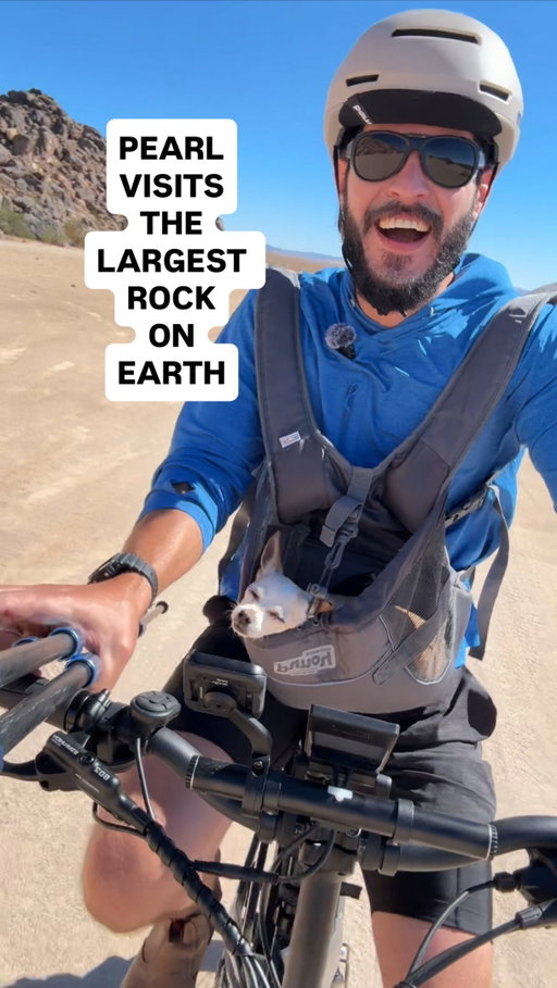 Turns out the largest rock on earth (actually) is less than 5 miles from our house! So I took Pearl to go see it. And let’s just say... It’s not small… 

We rode our eBike from @lectricebikes so Pearl could feel the wind in her hair and I wouldn’t have to pedal a bike through sand in 90+ degree weather—I barely broke a sweat. Also, the tires on the XP4 are 4in wide so it does pretty well in the sand. And since it’s a folding bike, we look forward to bringing it on our upcoming adventures in the van! 

Check out why the XP is the best-selling eBike in America! Link in bio.

#lectricpartner #lectricbikes #dogsofinstagram #chihuahualife #giantrock