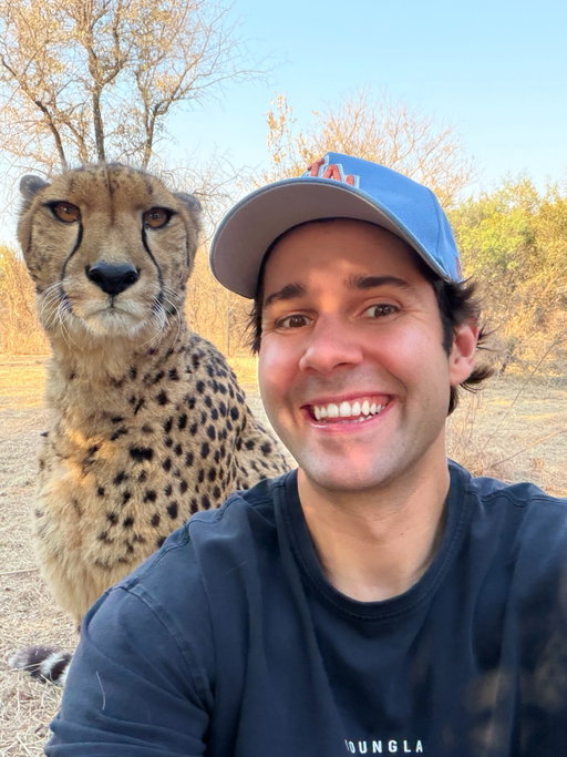 never really been a cat guy till I met her 🤝🐆 new vlog is up!!!
