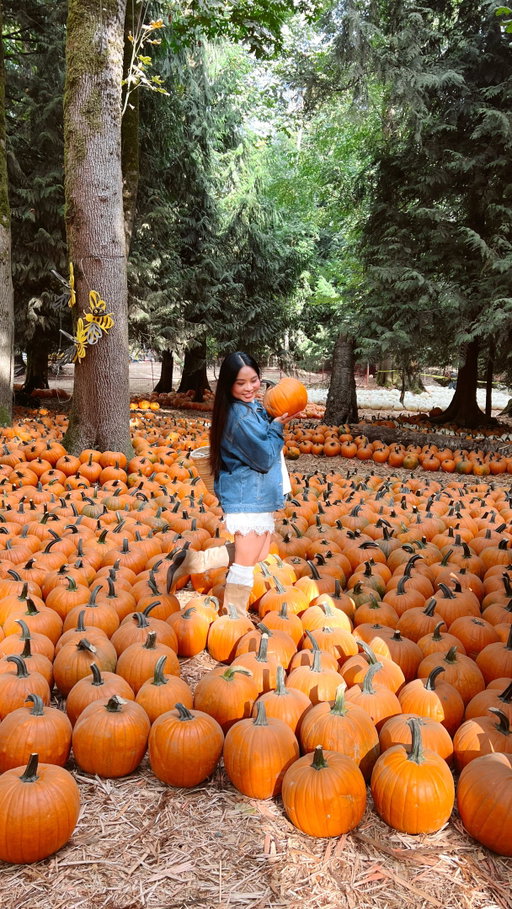 Fall has officially arrived @maanfarms and it feels like a fairytale straight out of a storybook 🎃🍂

Fall is filled with pumpkins, whimsical photo spots, adorable animals and plenty of fall treats. And definitely come hungry — we loved the nachos! It’s the perfect fall day trip from Vancouver and one to add to your family’s autumn bucket list.

📍 Maan Farms — 790 McKenzie Rd, Abbotsford, BC

Who are you bringing for a fall day at the farm? 🍂

#MaanFarms #AbbotsfordBC #autumn #pumpkinseason #explorebc