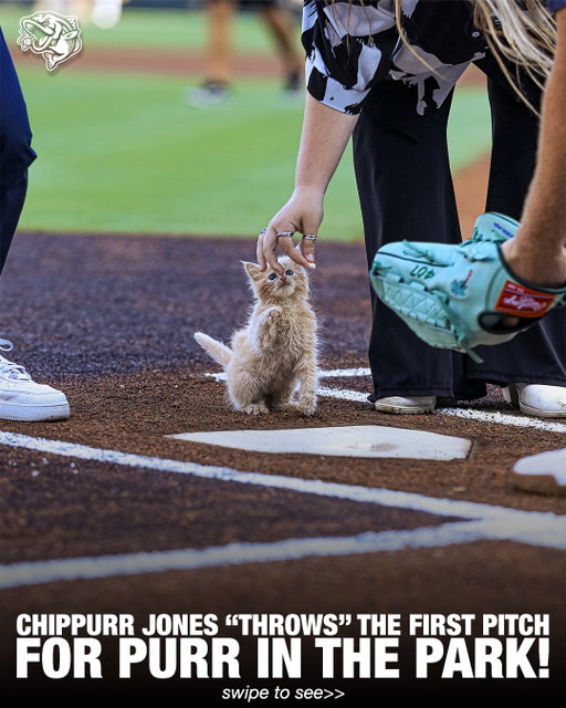 ChipPurr's got a mean fastball