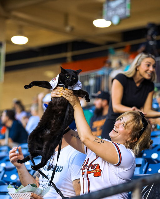 the most purr-fect night at the ballpark 🥹