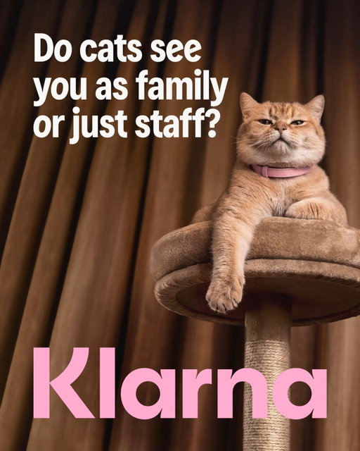 Stay on top of your money with Klarna, so you can think about, well, anything else.

The Klarna App is a tool for managing everyday payment and spending activity. 18+ only.