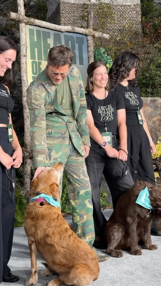 #BradPitt and our adoptable rescue dogs at the #HeartOfTheBeast premiere. Thank you, @wagsandwalks!