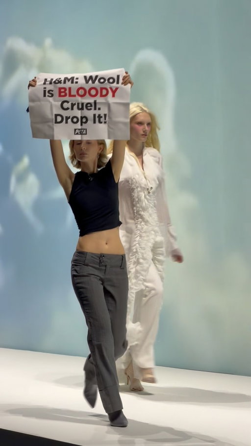PETA activists crash the runway at @hm show during @londonfashionweek. 

Video: @tianweizhang