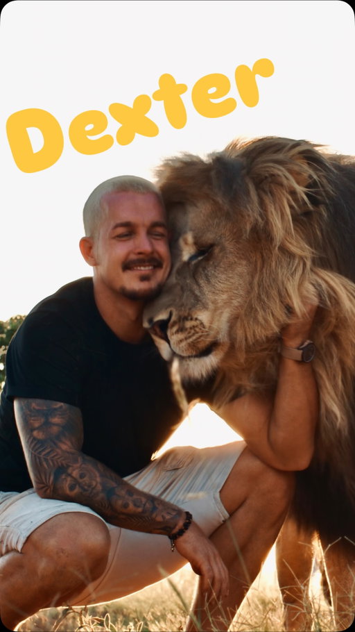 I've arrived back on the farm today! I know everybody wants an update on Dexter!❤️
And I'll do an update in the coming days! 🦁
For those who didn't see the whole video check out the link in my bio for the YT channel!