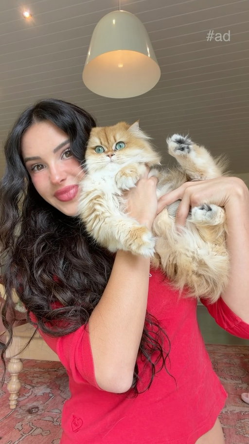 #ad They have zero responsibilities. I have all of them. Including keeping them protected from fleas, ticks, heartworm disease, hookworms, roundworms and even tapeworms! With a one and done monthly application, I can rest easy knowing my cats have Next Level protection. Ask your vet if NexGard® COMBO (esafoxolaner, eprinomectin, and praziquantel topical solution) is right for your cat. For full prescribing information visit, @nexgardcomborxinfo #nexgardcombo