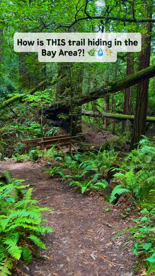 This amazing waterfall trail is hidden in the Bay Area 🤯🌲💦

Follow @hfamilyadventure for more California family adventures, hidden gems & places worth exploring! ❤️

📍 Cataract Falls — Marin County, California

One of those trails that feels like you’ve escaped California completely. 🌿💦 You’ll hike through lush forest alongside the creek before reaching the beautiful waterfalls.

🥾 ~3 miles round trip
⏱️ About 1.5–2 hours
📈 Moderate with some steep sections
🚗 Parking is limited, so arrive early

Save this one for your next Bay Area adventure! ❤️

#CataractFalls #travelgram #travelwithkids #CaliforniaHikes #CaliforniaWaterfalls