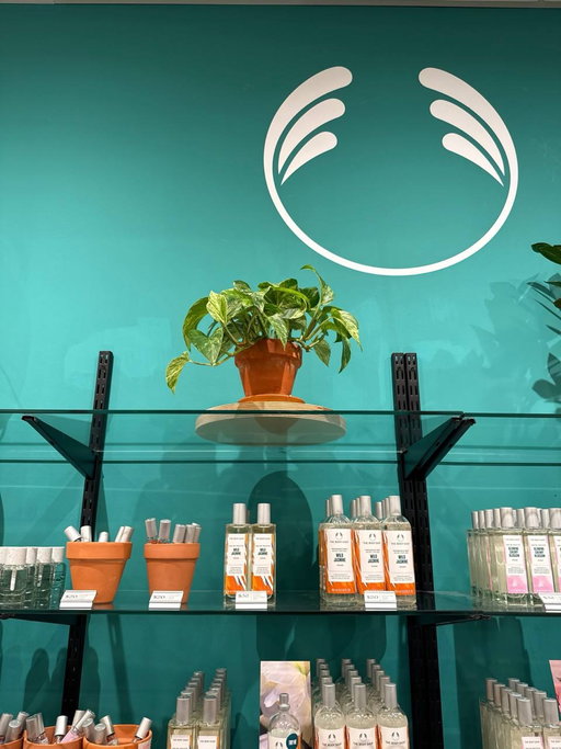 Go check out the freshly painted Body Shop at Polo Park Mall Winnipeg 🌿📍

Looking to paint your business or home? Give us a call to book your free estimate 📞 204-452-3633

#paint #interior #exterior #winnipeg