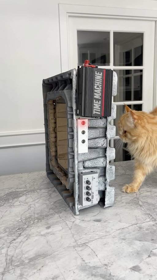 I just built this machine. I don’t think I should’ve let my cat, Potato, go through it.

#cats #cutecats #catcomedy #funnypets #catsofinstagram