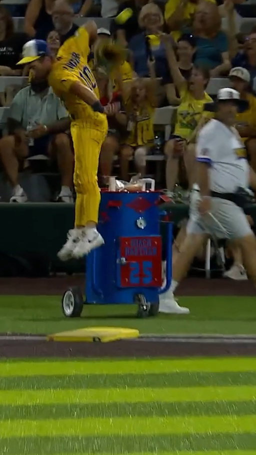 AIR ZIGGY 🤯

#bananaball #savannahbananas #baseballplayer #mlbnews #sctop10