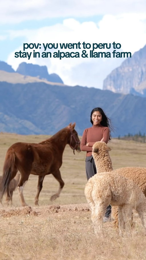 Still cant get over this part of our Peru trip 🥺🦙