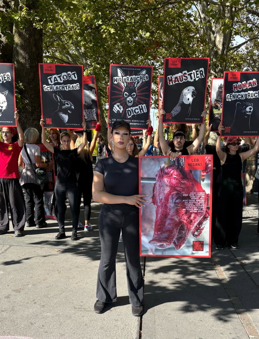 Gestern bin ich zu meine erste Demonstration für die Tiere in Zürich gegangen!🐷ich werde mich immer für Minderheiten einsetzen! Egal ob Lgbtqai+ Community, Frauen, Tiere etc ❤️ Egal wie bequem oder privilegiert mein Leben ist, ich werde niemals aufhören für Gleichberechtigung zu kämpfen! Egal für welche Spezies! 💖 Wir Menschen haben die Möglichkeit zu entscheiden was wir zu uns nehmen oder kaufen. Wir sollten diejenigen sein die den schwächeren helfen und beschützen. Leider ist die Normalität dass wir den schwächeren ausbeuten, versklaven und umbringen 😭 Wir alle haben einen Einfluss darauf! 
Die Demonstration war so toll aber es ist erschreckend zu sehen das soviele Menschen keine Empathie haben. Das hat mich sehr traurig gemacht ❤️ danke an @neonprotest für eure Arbeit und dass ihr solche Demos für all diejenigen die keine stimme haben organisieren! 💕