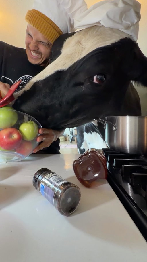 Trying to make apple cider with Bruce! #cow #brucethecow #farm #animals