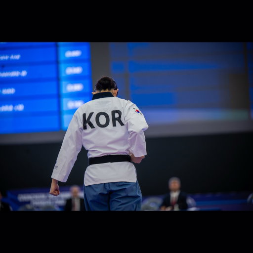 2026 Chuncheon World Taekwondo Poomsae Championship 
Freestyle Female Over 17 🥇

주니어로 출전했던 2022년, 2024년 세계선수권에 이어, 2026년 시니어로 처음 참가한 세계선수권 대회에서 개인전으로 출전하게 되어 영광이었습니다. 
또한, 시니어로서의 첫걸음을 1위라는 값진 결과로 잘 마무리하게 되어 더욱 뜻깊었습니다.

이번 세계선수권에서 코치로 함께해 주신 포천시청 윤복채 감독님께도 진심으로 감사드립니다. 현 소속팀 감독님과 함께 뜻깊은 무대에 설 수 있어 영광이었습니다.

많은 분들의 관심과 응원 덕분에 끝까지 최선을 다하여 좋은 모습을 보여드릴 수 있게 된 것 같아 진심으로 감사드립니다.

모든 지도진분들, 선수분들 고생하셨습니다!
소중한 인연, 추억들과 함께 2026 세계선수권 끝✨