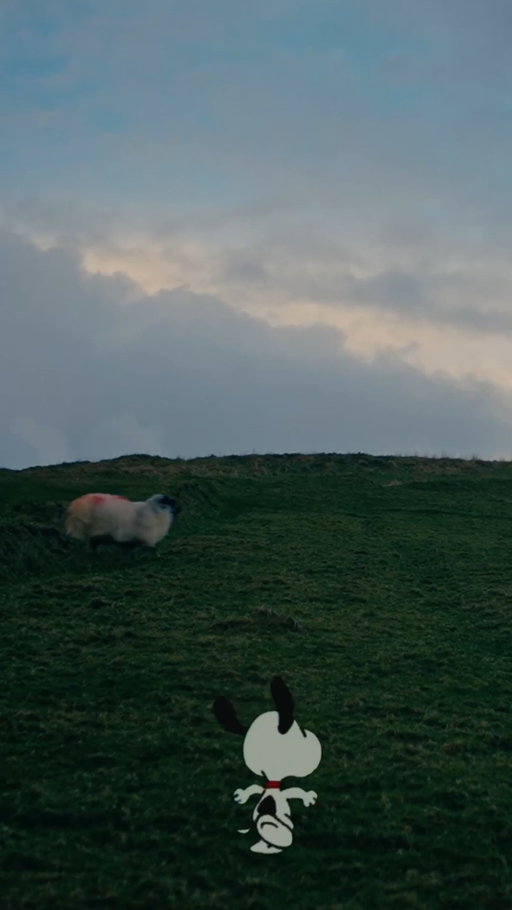 snoopy and i exploring the world