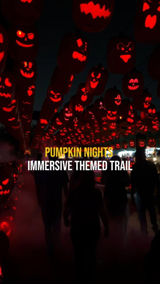 Pumpkin Nights is back in DFW! 🎃🕸️✨ @pumpkinnights 

If you’re looking for a fall activity that’s family friendly and fun for kids, add this one to your list! Pumpkin Nights transforms Howell Farms in Arlington into a glowing Halloween experience with 10,000+ hand carved pumpkins and 9 immersive themed lands along a half mile trail 👻

Here’s what to expect: 
🎃 10,000+ glowing pumpkins
🔥 Live fire shows
🔪 Live pumpkin carving
📸 Tons of photo ops
🍂 9 immersive pumpkin lands
🍴 Food + drinks
🎯 Games & activities
👻 Halloween vibes without the jump scares

📍 Howell Farms 
4016 W Division St, 
Arlington, TX
📅 September 17 – October 31

🎟️ GENERAL ADMISSION
Weekdays:
Adults (13+): starting around $22–$26
Kids (4–12): starting around $16–$18

Weekends:
Adults (13+): starting around $32–$36
Kids (4–12): starting around $22–$26
👶 Ages 3 & under: FREE
🚗 Parking: $10/car

⏰ HOURS
Sept. 17–Oct. 1: entry begins at 7 PM
Starting Oct. 2: entry begins at 6 PM

Tickets are timed and must be purchased online in advance, and prices go up as dates fill up! 🎟️

Send this to someone you want to have a fall night out with! 🍂🎃✨

#100thingsindallas #thingstodoindallas #pumpkinnights #fallactivities #dallasfortworth