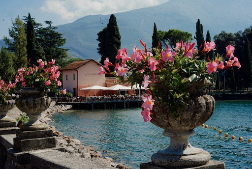 #lakegarda photo dump in no particular order. Desperation for an escape X wonderful destination + great food + lots of dogs = an amazing time. 
-
I went to Garda as a kid with my family and had very fond memories, so it was so nice to experience it through adult albeit very tired eyes! Lots to see and do so we really got our daily steps in but chilled evenings eating yummy food meant we didn’t feel too exhausted. 
-
We got to really know the North part of the lake due to our exploring so if you want any tips or advice please feel free to ask! #italy #italianholiday #limone #rivadelgarda