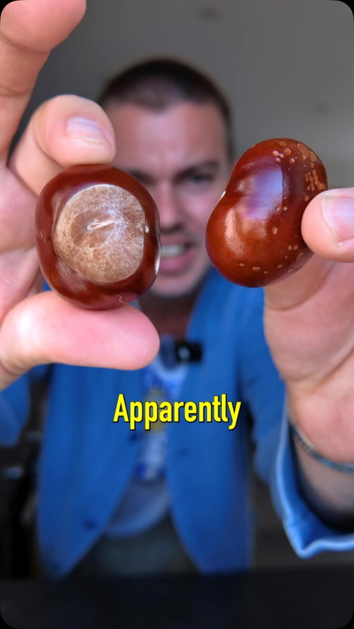 forget iPads.. let’s bring back CONKERS!