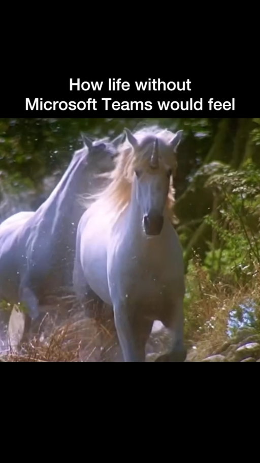 It could be so magical 🦄