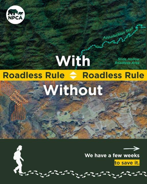 Without the Roadless Rule, we see this DESTROYED:
🌲 45 million acres of forest 
🧗 8,000+ climbing routes 
🚲 10,000 miles of mountain bike trails 
🚣 768 acres of whitewater runs 
🥾 25,000 hiking trails 

And once it’s gone, it’s gone for good. 30% of roadless forests are 30 miles or less from a national park. Park Protectors, we must band together and stop this.

📢 Tell the U.S. Forest Service that our public forests are NOT for sale. Comment ROADLESS and we’ll send you a link to leave a unique public comment today.