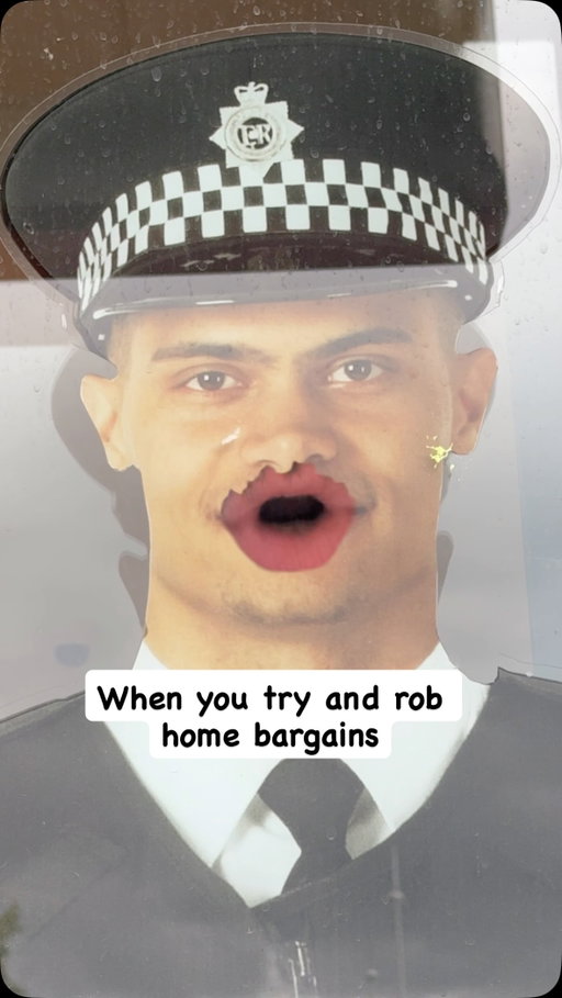 Those damn flat policemen 

#homebargains #comedy #police