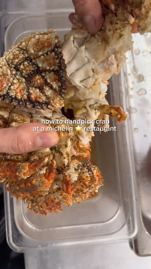 I’ve been taking crab for granted.. so much effort to extract the meat just to have a couple bites.. mad respect to the restaurants that serve this 💀 

#culinary #crabmeat