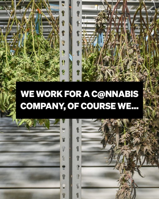 Be honest, you'd like to work here too, right?