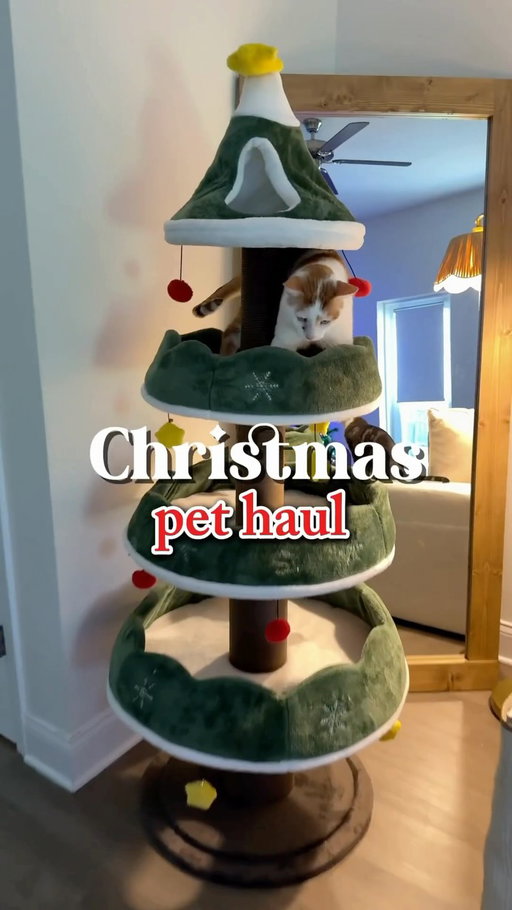 #ad Christmas pet haul 🎄🐱 These are my top 4 must-haves! 
 
code: key4633

link: https://app.temu.com/k/ppjvb4mt70z
T&Cs apply.

#temuhomefinds #shoptemu
