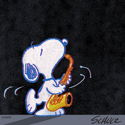 What kind of music do you enjoy?
