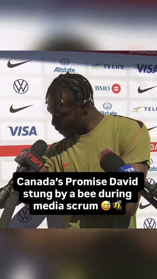 Promise David suffered his first bee sting during a Canada Soccer media scrum 😅🍁🐝

🎥 TSN_Sports - X 
#canadasoccer #canmnt