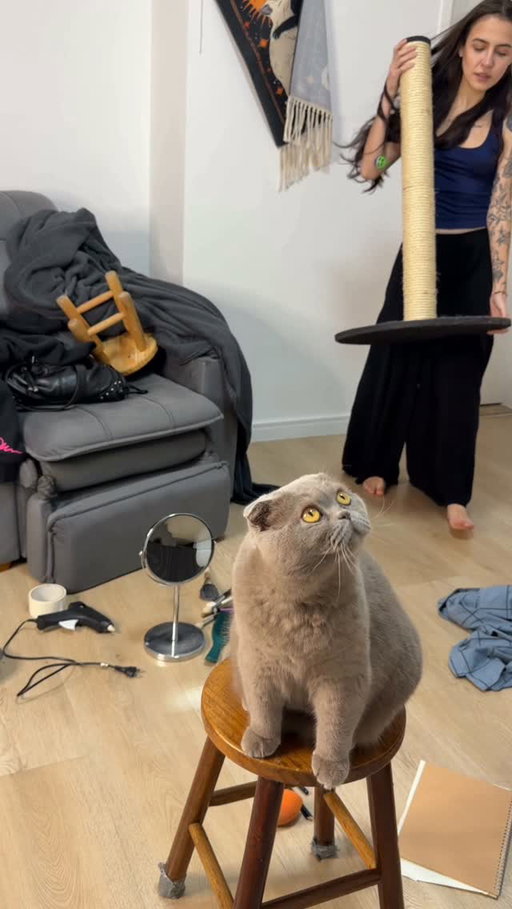 limpando o quarto do meu migles Rafa e descobrindo que ele simplesmente NÃO TINHA o básico pra uma faxina !! 

mas tudo bem, porque se tem uma coisa que eu gosto é de resolver tudo pelo celular. já deixo meu cartão Visa Débito cadastrado direto no app de delivery e, quando preciso, é só pedir, pagar no débito e continuar a vida (ou a faxina, nesse caso) @visa_br #publi 