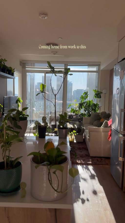 Best feeling😮‍💨🤌🏼

#interiordesign #houseplant #cozyhome #homeinspo #homedecor 

decor, homedecor, interiordesign, interiorstyling, cozy, cozyhome, homeinspo, organicmodern, plants, houseplants, myhome, instahome, boyapartment, apartment, ambientlighting, ambient, cozyhomes, aesthetichome, design, lifestyle, boyloft, loft, renterfriendly, smiski, betta, betta fish, small apartment, small home, city apartment, boy home