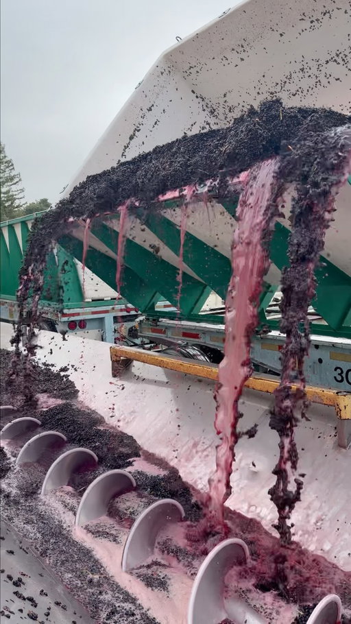Ever wonder what happens the second grapes arrive at the winery? 👇

1️⃣ Bins dump into the receiving hopper
2️⃣ An auger (that big spinning screw) moves the fruit forward
3️⃣ The destemmer’s paddles knock berries from the stems
4️⃣ Berries fall through, stems get kicked out the end
5️⃣ The juice, skins, and seeds (aka “must”) head to tank

For red wines, the skins stay in during fermentation. That’s where all the color comes from.