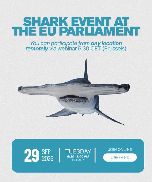 Not in Brussels? Not a problem! - Join the event remotely via Webinar (link in bio). “Shark Protection for Healthy Oceans” is an event hosted by Members of Parliament, Manuela Ripa (EPP) and Michal Wiezik (RENEW). 

The program will focus on the critical impacts of the international shark fin trade on biodiversity and ocean health, the EU’s role in this trade, and the socioeconomic impacts on coastal communities and fisheries resulting from declining shark populations and the threats marine ecosystems are experiencing.

The link to join remotely as well as in person event registration can be found using the link in Bio. Only guests who have completed the registration process will be able to enter the parliament building and attend the event in person.
