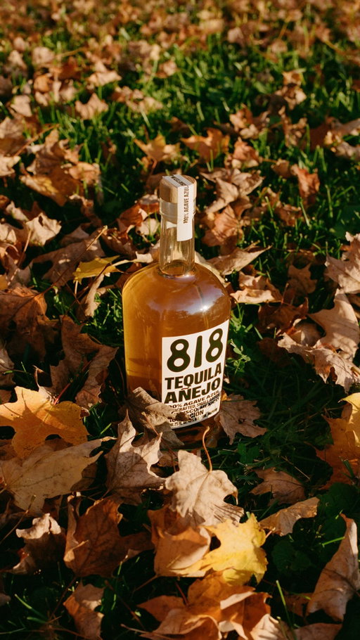 Fall to the core. Meet the 818 Appletini🍎

RECIPE:
- 1 OZ 818 Blanco Tequila
- 0.5 OZ Lemon
- 0.5 OZ Simple Syrup
- 1 OZ Apple Liqueur
- 1 OZ Apple Juice

PREP:
1. Combine all ingredients in a cocktail shaker with ice. 
2. Shake well and strain into a martini glass.
3. Garnish with an apple slice.