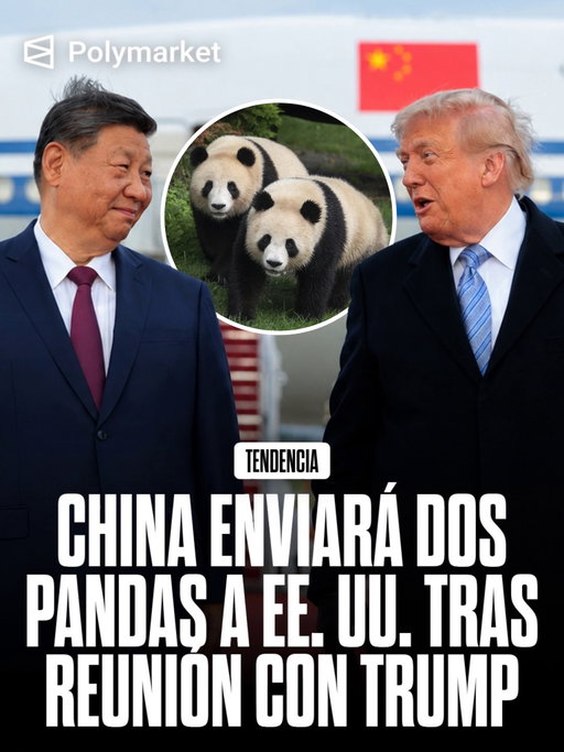 China enviará dos pandas gigantes a Zoo Atlanta en los próximos días. Xi Jinping anunció la llegada de Ping Ping y Fu Shuang durante su visita a la Casa Blanca, donde calificó al panda gigante como un “enviado de amistad” entre China y Estados Unidos. 

Los dos animales forman parte de un nuevo acuerdo de cooperación para la conservación de la especie entre Zoo Atlanta y la China Wildlife Conservation Association.

La llegada marca el regreso de los pandas a Atlanta después de que Lun Lun, Yang Yang y sus dos crías restantes fueran enviados a China en octubre de 2024. La fecha exacta de llegada todavía no fue divulgada por el zoológico.

Sigue a @polymarketespanol para seguir los mercados que mueven el mundo.