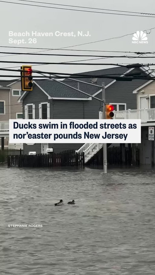 Floodwaters covered streets in coastal New Jersey Saturday morning as a powerful nor’easter battered the Northeast, with ducks swimming on top of the water.