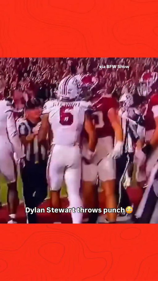 South Carolina star Dylan Stewart threw a punch amid frustration.
