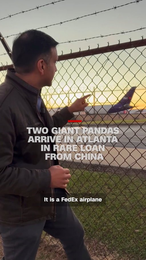 Two giant pandas on loan from the Chinese government landed in Atlanta Sunday to head to the city’s zoo. 

The pandas — a male named Ping Ping and a female named Fu Shuang — arrived on a FedEx flight from Chengdu, in southwestern China. Chinese leader Xi Jinping announced the rare loan on a state visit to Washington last week.