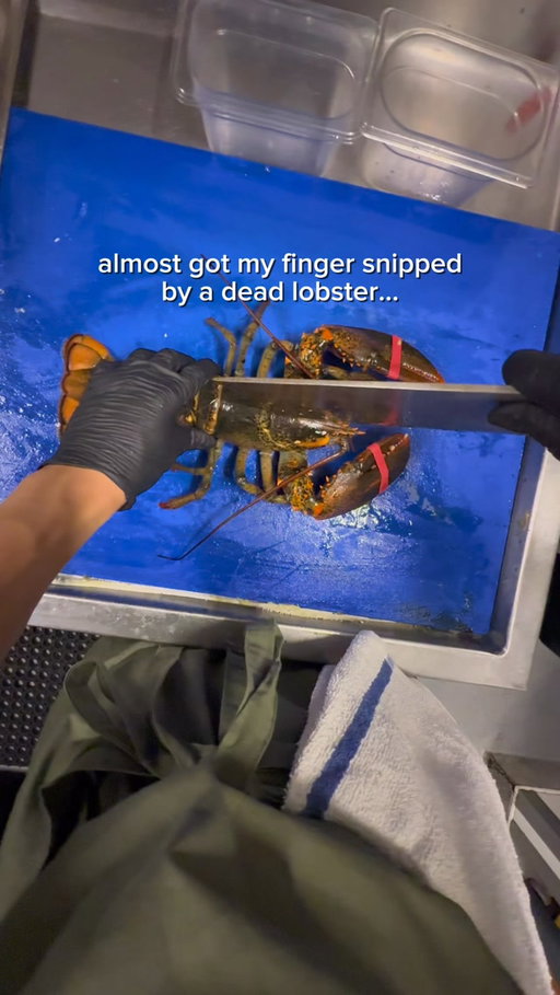 if you’ve ever had chinese lobster noodles, this is the technique to preparing the lobster! let me know if you guys want to see how this is turned into the final dish :) #lobster #chinesefood