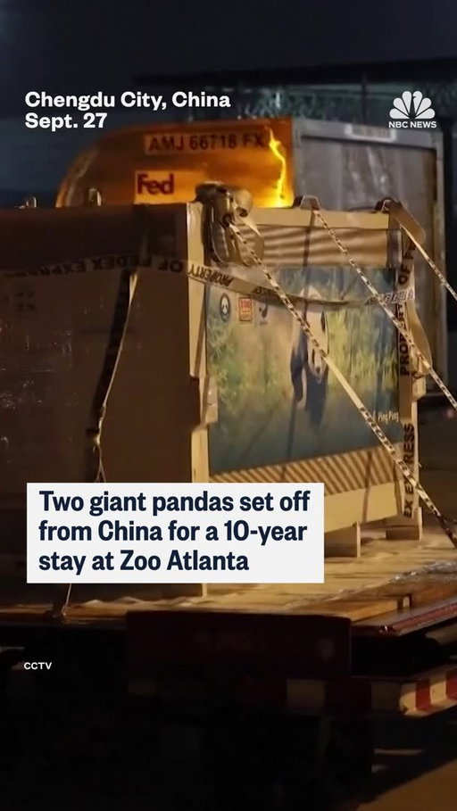 Giant pandas Ping Ping and Fu Shuang depart from China for their new home at Zoo Atlanta as part of an agreement between the U.S. and China.