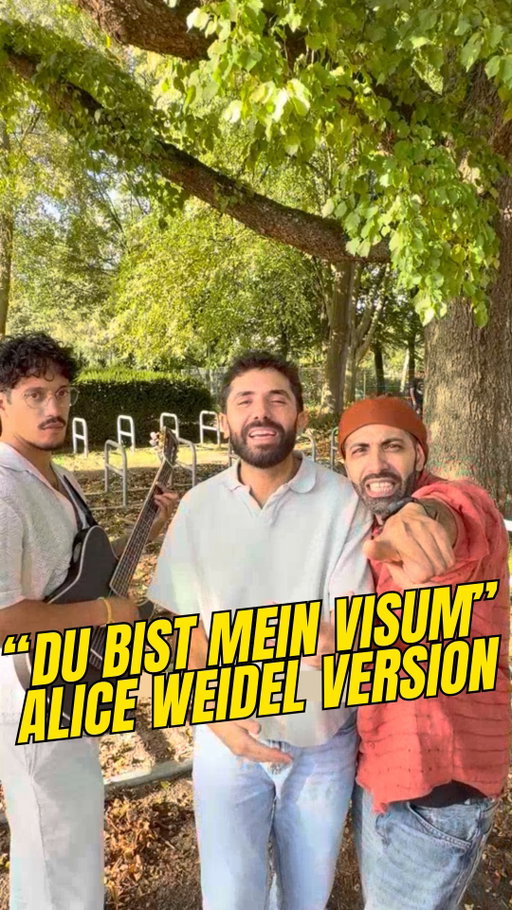 „Du bist mein Visum!“ 🛂
Alice Weidel Version 🇩🇪🇨🇭