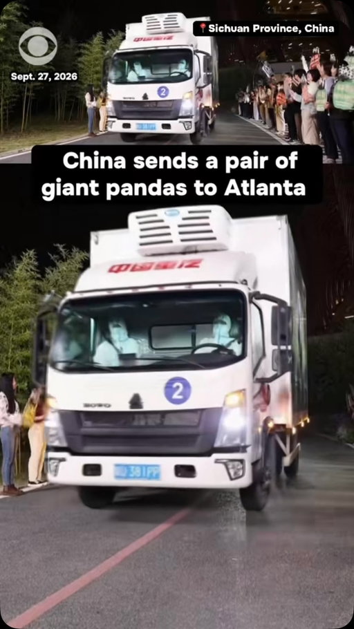 A pair of giant pandas departed Chengdu Shuangliu International Airport in southwest China’s Sichuan Province on a chartered flight Sunday, bound for Zoo Atlanta, marking the beginning of their 10-year stay at the zoo.

Before their departure, the Chengdu Research Base of Giant Panda Breeding held a farewell ceremony for Ping Ping and Fu Shuang, a male and female giant panda pair.