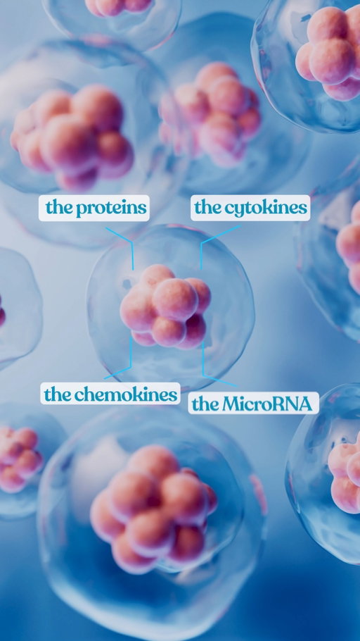 What if we could harness the signals healthy cells use to communicate?

Sanjiv Lal breaks down the growing science of the secretome and why he believes cell-signaling technologies could shape future therapeutic approaches.

#CellularHealth #Secretome #CellSignaling #Longevity