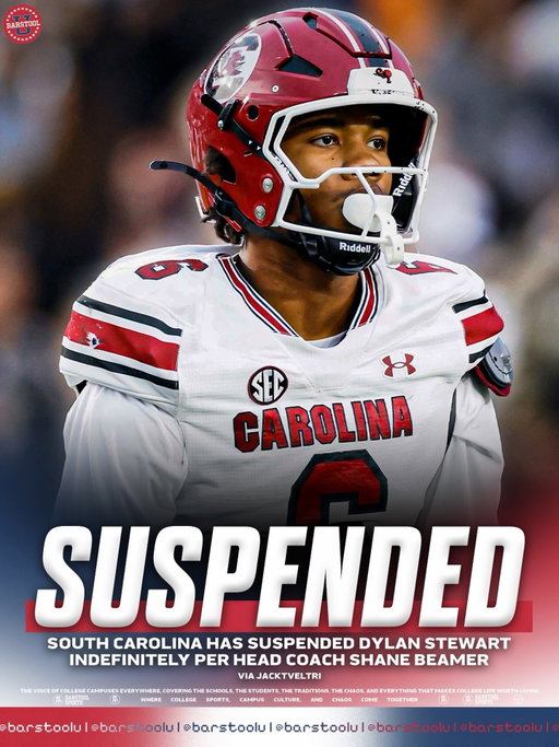 South Carolina has suspended edge rusher Dylan Stewart after throwing a punch in the Alabama game.