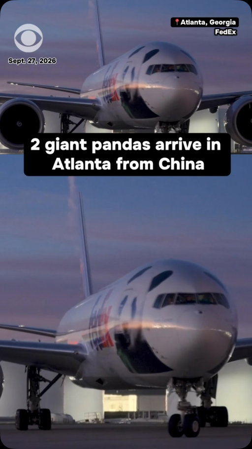 Two giant pandas from China have arrived in the U.S. as part of an agreement between the Chinese and American governments, the Atlanta zoo confirmed on Sunday.

The zoo said giant pandas Ping Ping and Fu Shuang arrived at Hartsfield-Jackson International Airport on Sunday morning “via a dedicated ‘FedEx Panda Express’ Boeing 777 aircraft.”