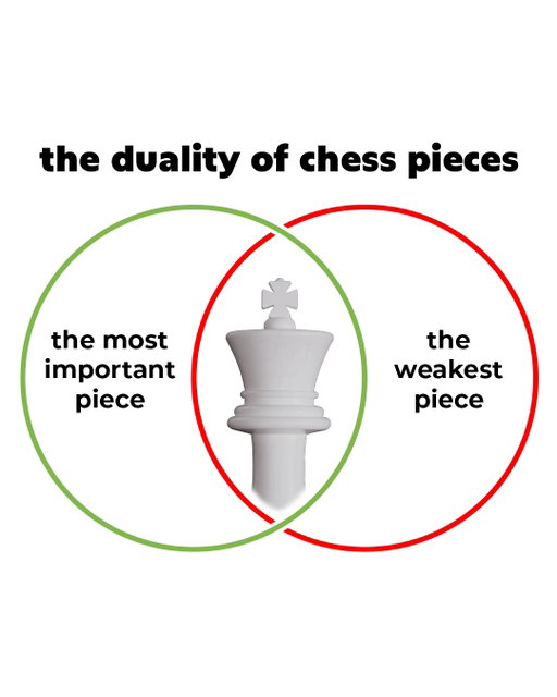 chess piece venn diagrams! what would you change? 😂