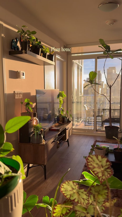 Homes with plants >

#interiordesign #houseplant #cozyhome #homeinspo #homedecor 

decor, homedecor, interiordesign, interiorstyling, cozy, cozyhome, homeinspo, organicmodern, plants, houseplants, myhome, instahome, boyapartment, apartment, ambientlighting, ambient, cozyhomes, aesthetichome, design, lifestyle, boyloft, loft, renterfriendly, smiski, betta, betta fish, small apartment, small home, city apartment, boy home